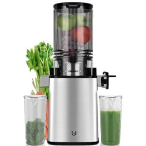 Masticating Juicer Machines, 350W Slow Cold Press Juicer with 6.1" Feeding Chute, High Juice Yield Juicer for Fruits and Vegetables, Easy to Clean3